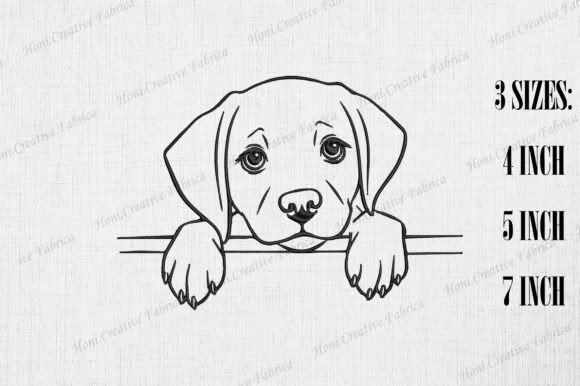 Download Cute Labrador Retriever Dog Peeking Wall - Labrador retriever dog Collection